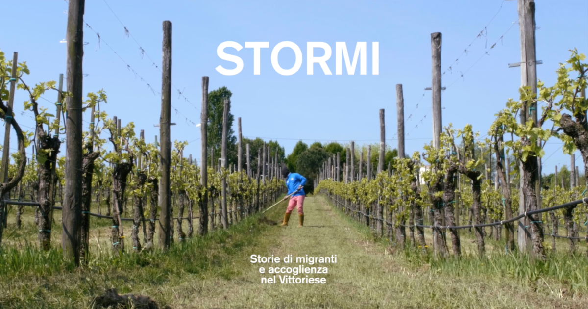 Stormi